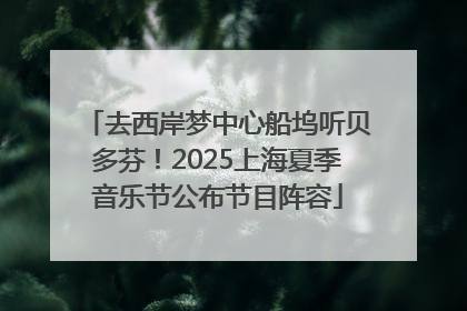 去西岸梦中心船坞听贝多芬！2025上海夏季音乐节公布节目阵容