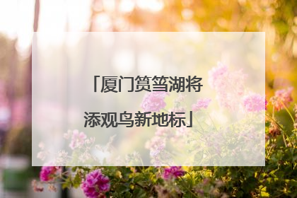 厦门筼筜湖将添观鸟新地标