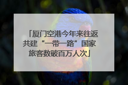 厦门空港今年来往返共建“一带一路”国家旅客数破百万人次