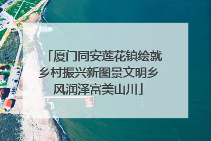 厦门同安莲花镇绘就乡村振兴新图景文明乡风润泽富美山川