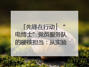 先锋在行动 ▏“电博士”党员服务队的硬核担当：从实验室到抗洪一线