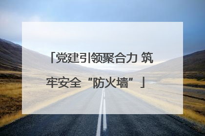 党建引领聚合力 筑牢安全“防火墙”