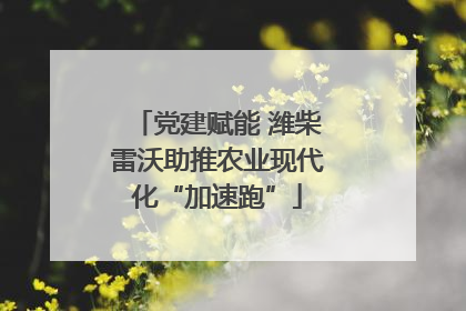 党建赋能 潍柴雷沃助推农业现代化“加速跑”