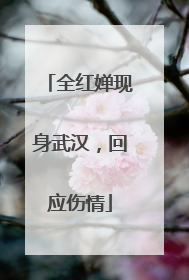 全红婵现身武汉，回应伤情