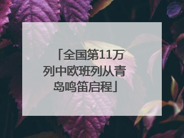 全国第11万列中欧班列从青岛鸣笛启程