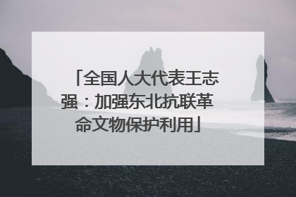 全国人大代表王志强：加强东北抗联革命文物保护利用