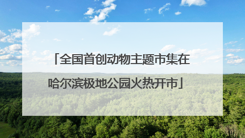 全国首创动物主题市集在哈尔滨极地公园火热开市