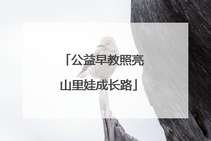 公益早教照亮山里娃成长路