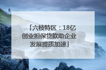 六枝特区：18亿创业担保贷款助企业发展提质加速
