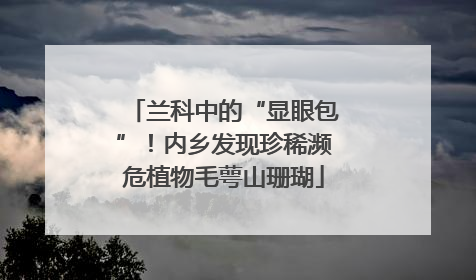 兰科中的“显眼包”！内乡发现珍稀濒危植物毛萼山珊瑚