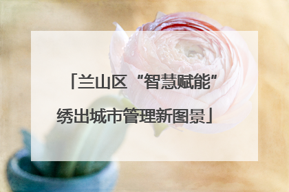 兰山区“智慧赋能”绣出城市管理新图景