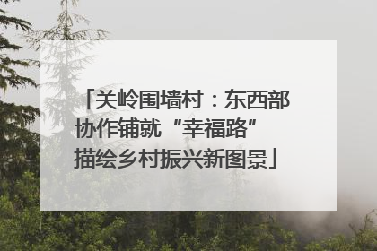 关岭围墙村：东西部协作铺就“幸福路” 描绘乡村振兴新图景