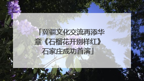 冀疆文化交流再添华章《石榴花开别样红》石家庄成功首演