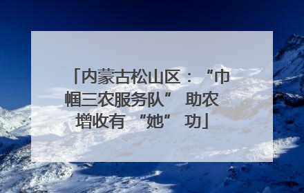 内蒙古松山区：“巾帼三农服务队” 助农增收有 “她” 功