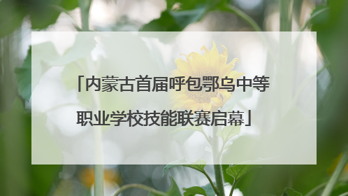 内蒙古首届呼包鄂乌中等职业学校技能联赛启幕