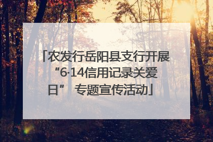 农发行岳阳县支行开展“6·14信用记录关爱日” 专题宣传活动