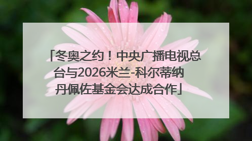 冬奥之约！中央广播电视总台与2026米兰-科尔蒂纳丹佩佐基金会达成合作