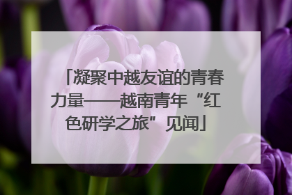 凝聚中越友谊的青春力量——越南青年“红色研学之旅”见闻