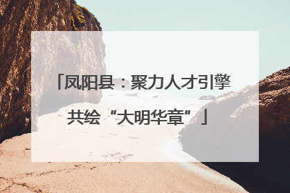 凤阳县：聚力人才引擎 共绘“大明华章”