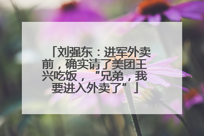 刘强东：进军外卖前，确实请了美团王兴吃饭，“兄弟，我要进入外卖了”