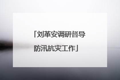 刘革安调研督导防汛抗灾工作