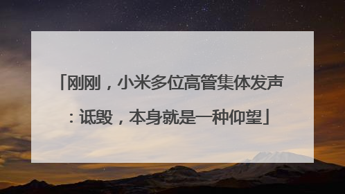 刚刚，小米多位高管集体发声：诋毁，本身就是一种仰望