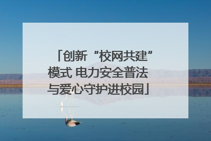 创新“校网共建”模式 电力安全普法与爱心守护进校园