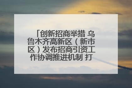 创新招商举措 乌鲁木齐高新区（新市区）发布招商引资工作协调推进机制 打造投资发展新高地