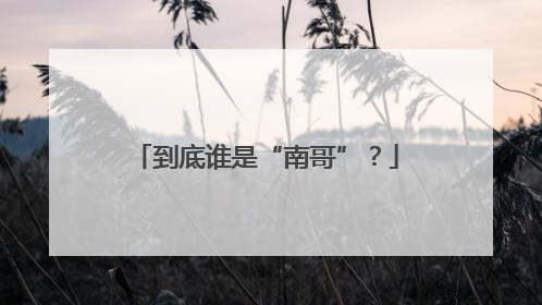 到底谁是“南哥”？