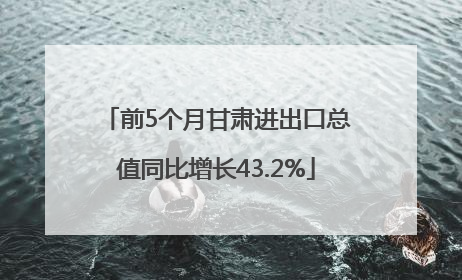 前5个月甘肃进出口总值同比增长43.2%