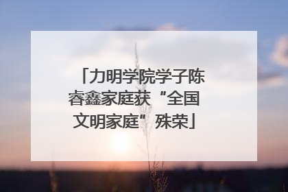 力明学院学子陈睿鑫家庭获“全国文明家庭”殊荣