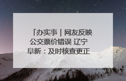 办实事｜网友反映公交票价错误 辽宁阜新：及时核查更正 加强实时巡检