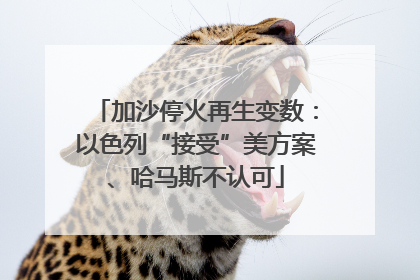 加沙停火再生变数：以色列“接受”美方案、哈马斯不认可