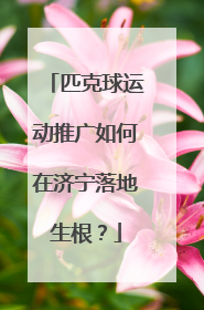匹克球运动推广如何在济宁落地生根？