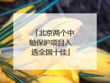 北京两个中轴保护项目入选全国十佳