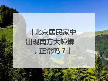 北京居民家中出现南方大蟑螂，正常吗？