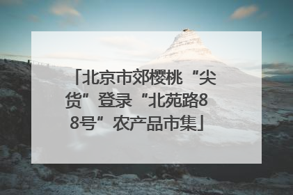 北京市郊樱桃“尖货”登录“北苑路88号”农产品市集