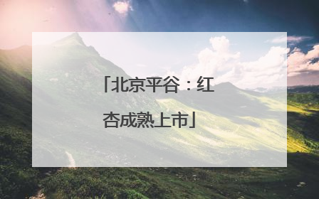 北京平谷：红杏成熟上市