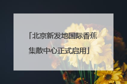 北京新发地国际香蕉集散中心正式启用