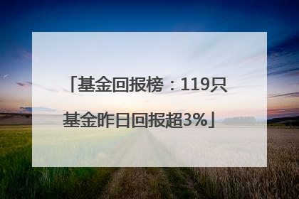 基金回报榜：119只基金昨日回报超3%