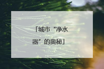 城市“净水器”的奥秘