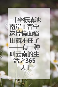 坐标滇池南岸！晋宁这片镜面稻田藏不住了——有一种叫云南的生活之365天