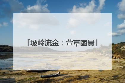 坡岭流金：萱草图景