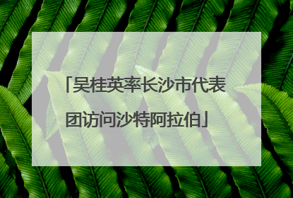 吴桂英率长沙市代表团访问沙特阿拉伯