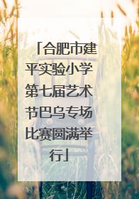 合肥市建平实验小学第七届艺术节巴乌专场比赛圆满举行