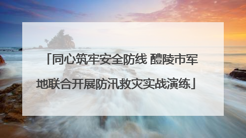 同心筑牢安全防线 醴陵市军地联合开展防汛救灾实战演练