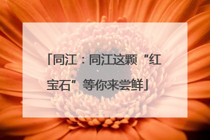 同江：同江这颗“红宝石”等你来尝鲜