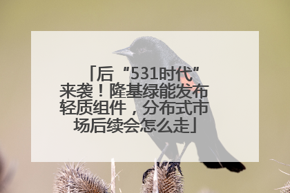 后“531时代”来袭！隆基绿能发布轻质组件，分布式市场后续会怎么走