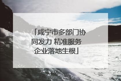 咸宁市多部门协同发力 精准服务企业落地生根