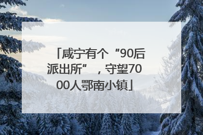 咸宁有个“90后派出所”，守望7000人鄂南小镇